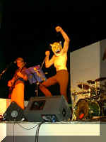 Tigre3.jpg (43364 byte)