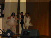 IMG_0063.JPG (174235 byte)