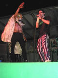 IMG_0017.JPG (84580 byte)