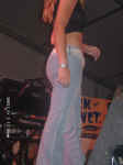 09020008.JPG (237276 byte)