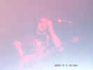 09080010.JPG (193738 byte)