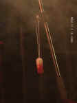 08030121.JPG (98805 byte)