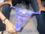 08240001.JPG (261323 byte)